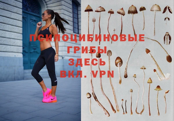 метадон Алексин