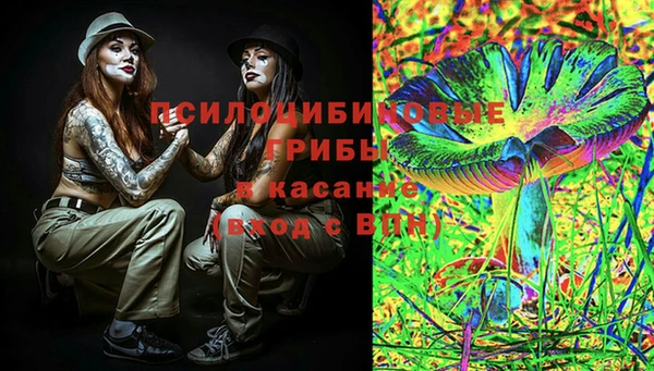 apvp Алексеевка