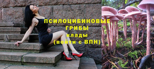 apvp Алексеевка