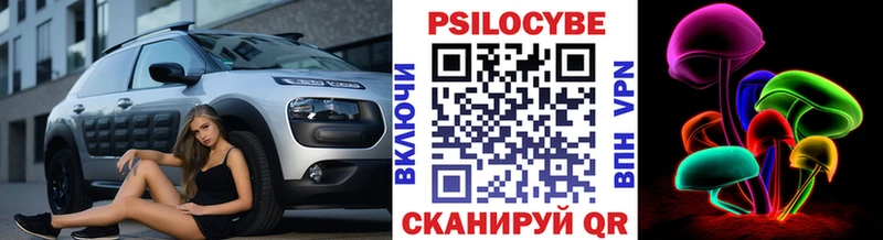 Купить  Белореченск  Псилоцибиновые грибы Psilocybine cubensis 
